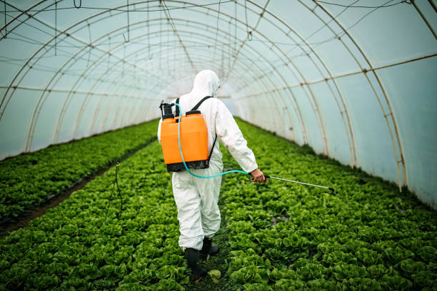 Best Pest Removal Services  in Rockville, CT