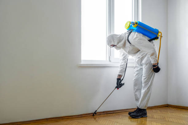 Best Ant Control Services  in Rockville, CT