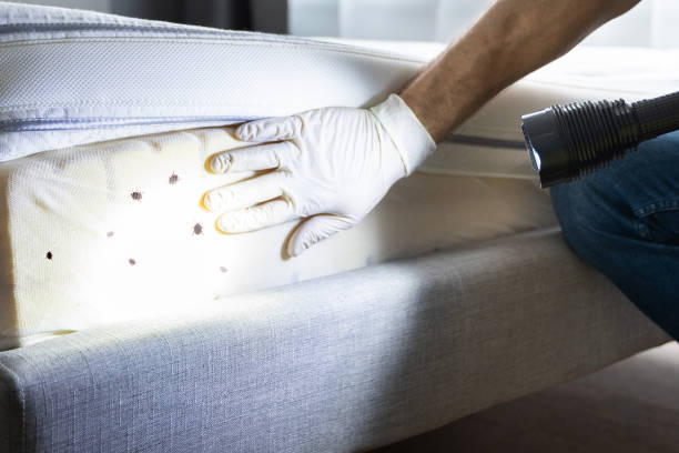 Wildlife Control Services in Rockville, CT
