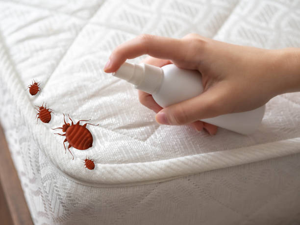 Best Exterminator Services  in Rockville, CT