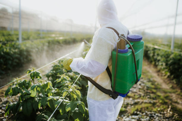 Best Mosquito Control Services  in Rockville, CT